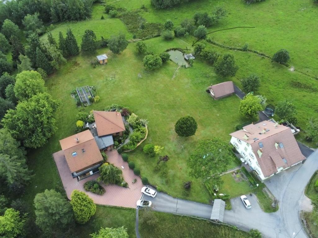 ※ Residence Pomme De Pin - Terrasse - Nature ※ Xonrupt-Longemer Exterior photo