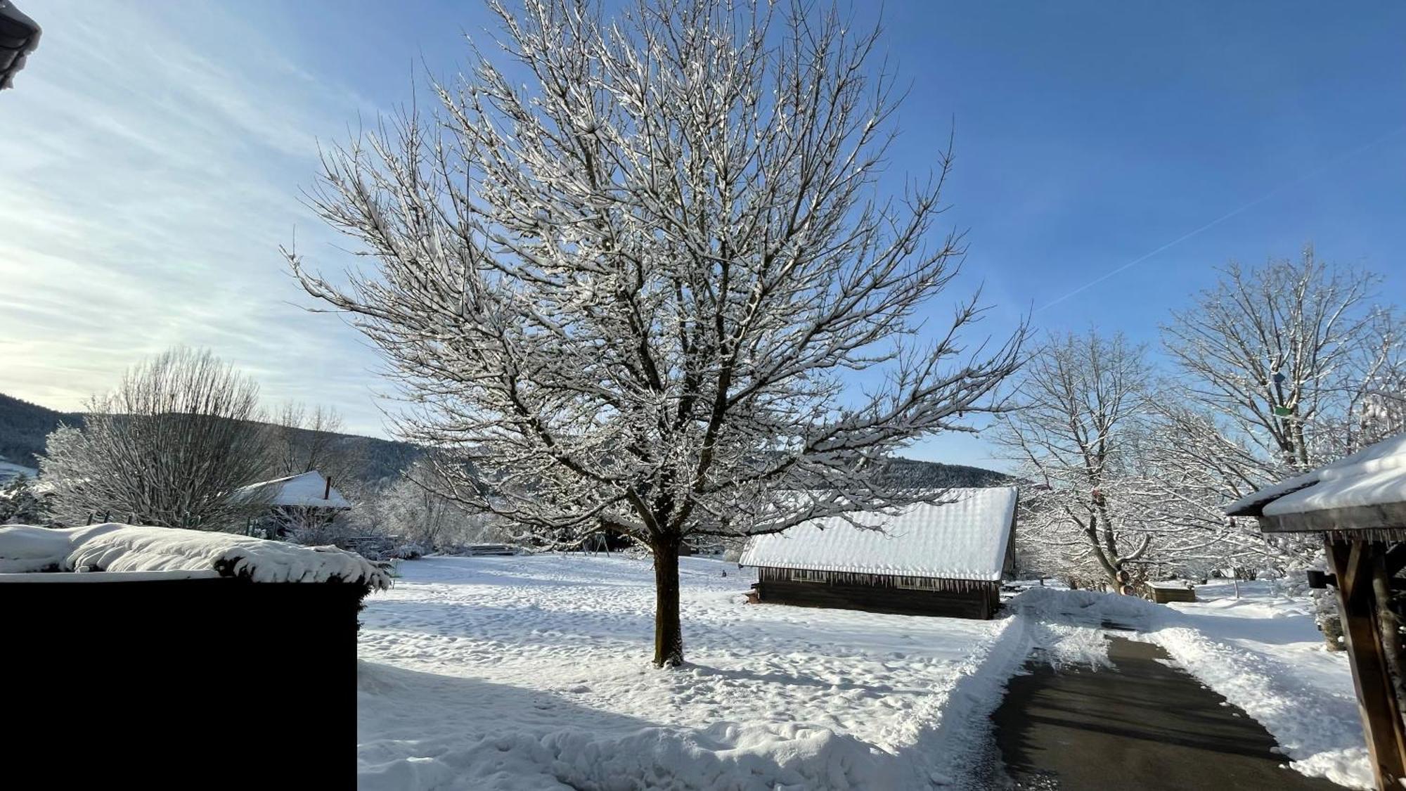 ※ Residence Pomme De Pin - Terrasse - Nature ※ Xonrupt-Longemer Exterior photo